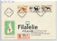 1965 FINLAND/DOG/FDC 600/2