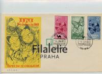 1963 IFNI/BUTTERFLY
