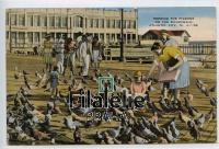 1944 ATLANTIC/BIRDS