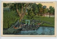 1952 ALLIGATOR/FLORIDA 2SCAN