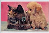 1966 CATS/POODLE 2SCAN
