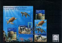 3600 TURTLES