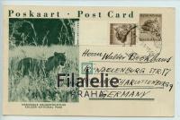 1959 KRUGER PARK