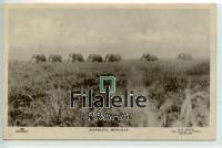 1930 ELEPHANTS/SUDAN POST/2SCAN