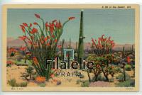 1942 CACTUS/DESERT POST/2SCAN