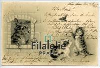 1901 CAT/DOG/BIRD EMBOSSED/POST/2SCAN