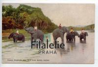 1937 ELEPHANTS/CEYLON POST/2SCAN